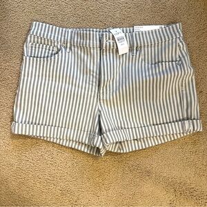 NEW Loft Shorts Size 6/28